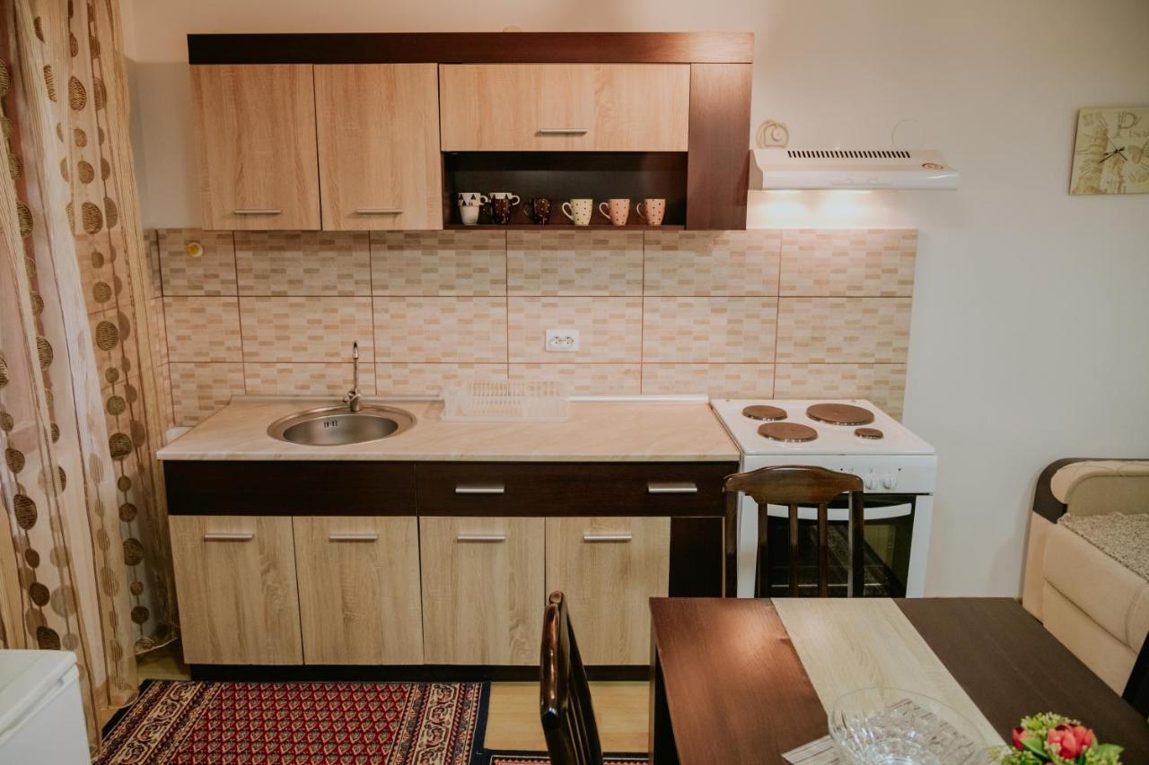 Vila Dinka Sokobanja Extérieur photo